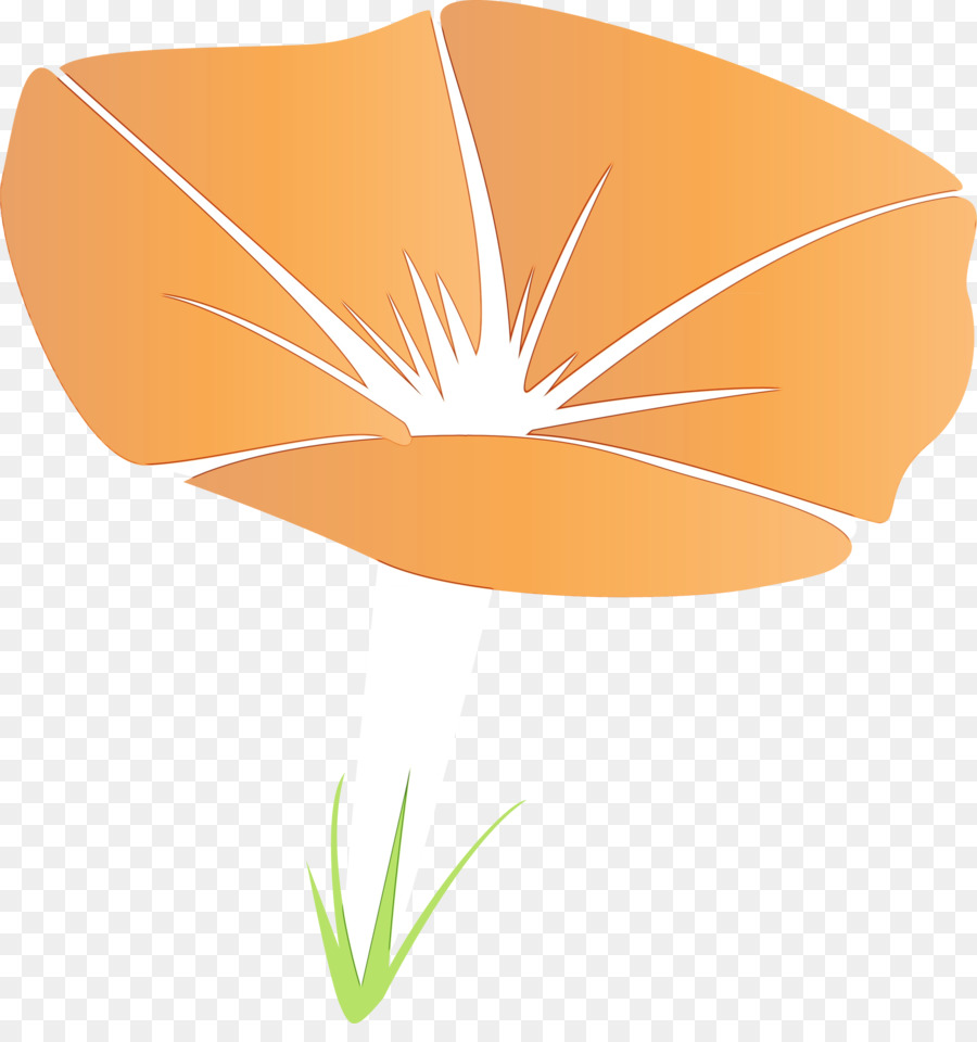 Naranja，Hoja PNG