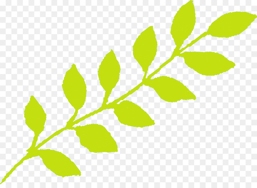 Hoja，Verde PNG