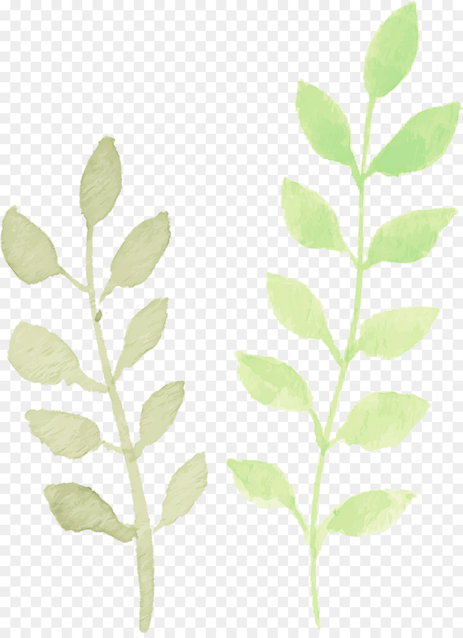 Hojas Verdes，Naturaleza PNG