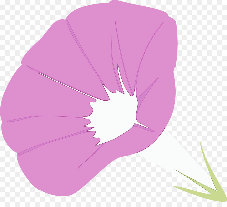 Rosa，Violeta PNG