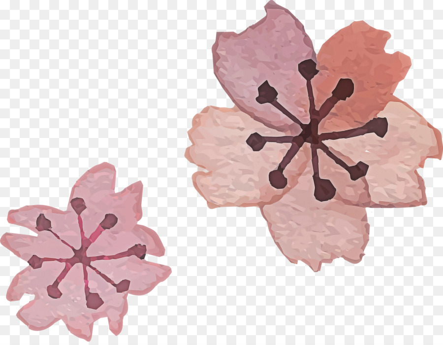 Flores，Florecer PNG