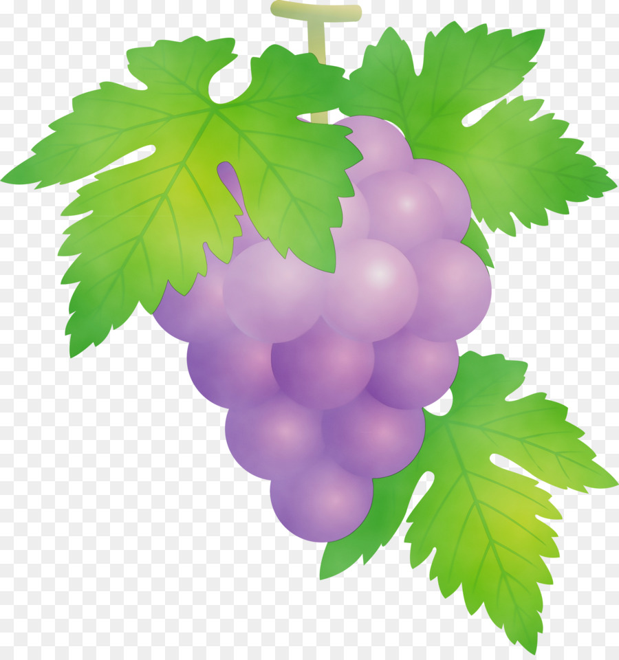 Uvas，Fruta PNG