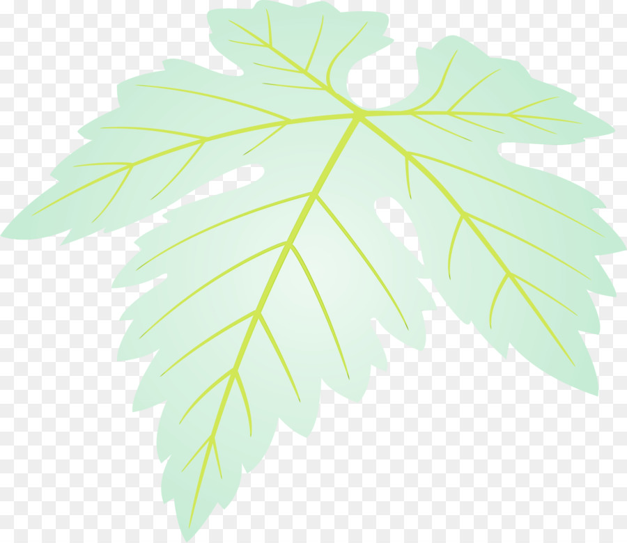 Hoja，Planta PNG