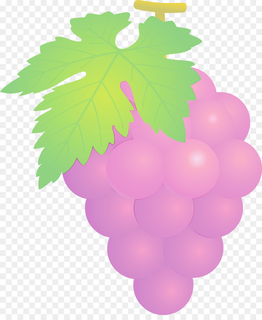 Uvas Verdes，Racimo PNG