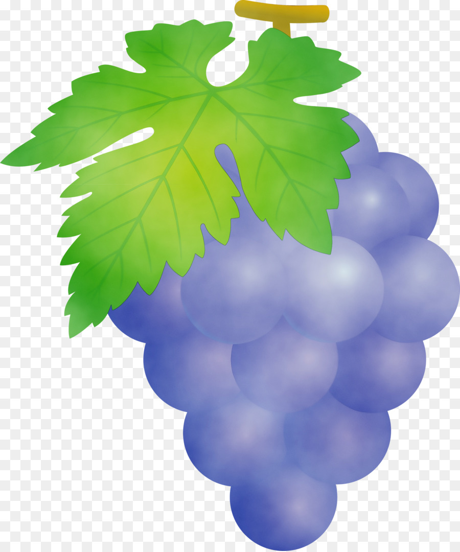 Uvas Verdes，Racimo PNG