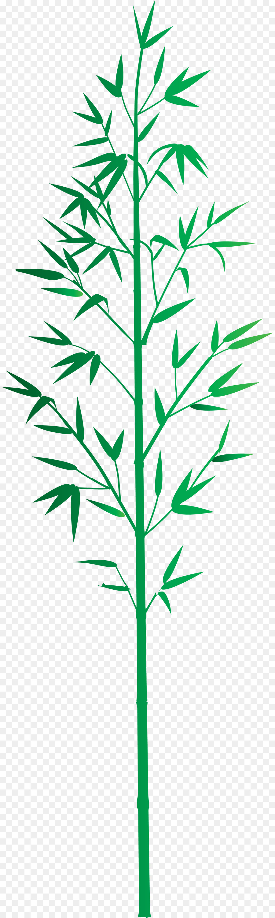 Hoja，Planta PNG