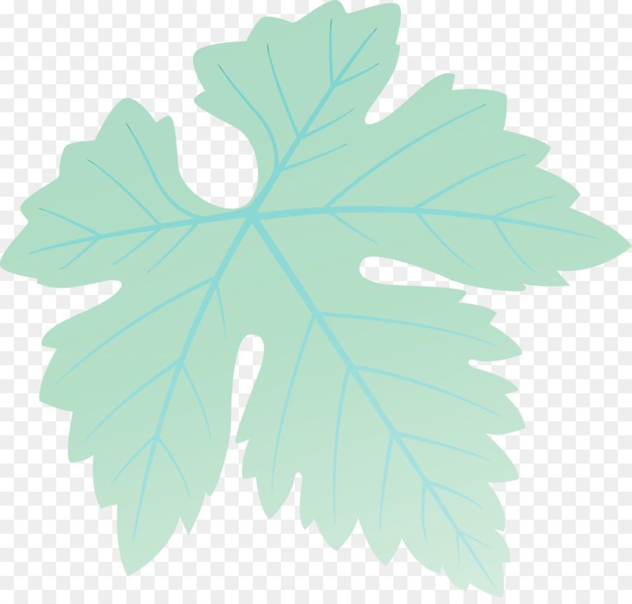 Hoja，Planta PNG