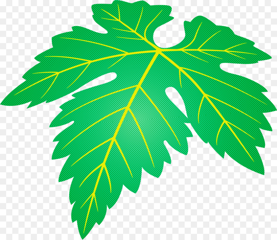 Hoja，Planta PNG