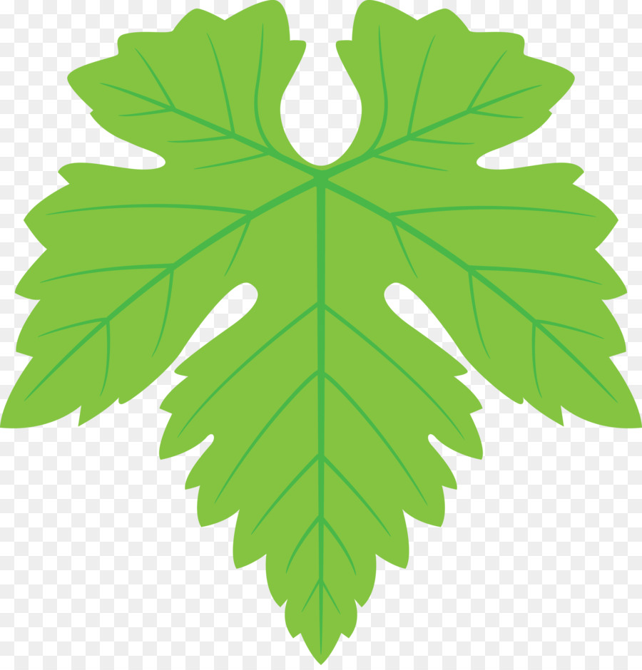 Hoja，Verde PNG