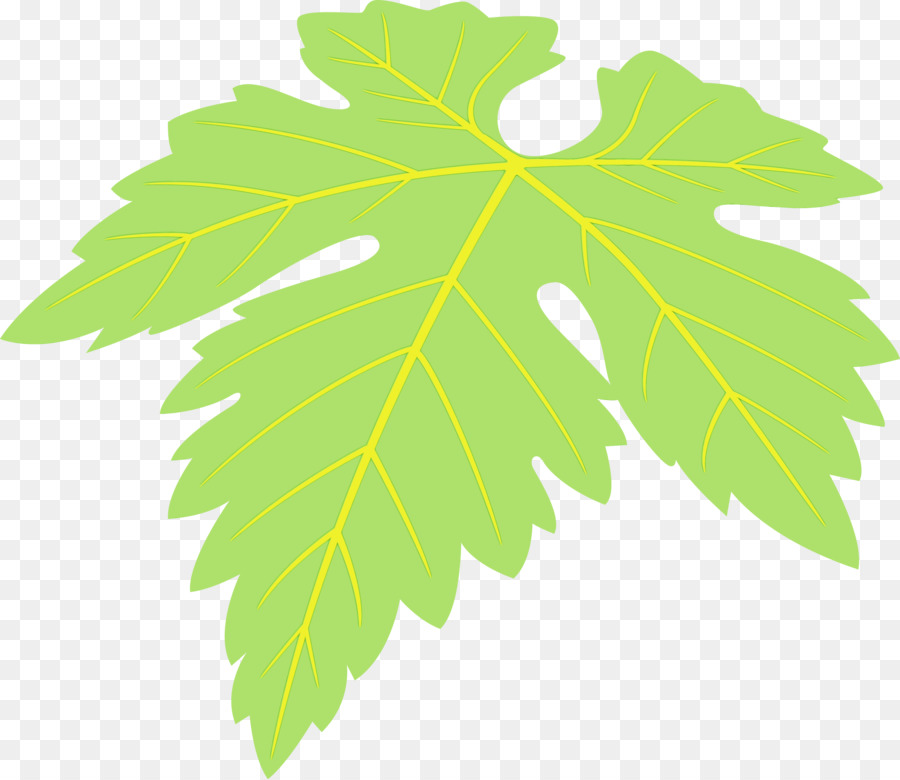 Hoja，Planta PNG