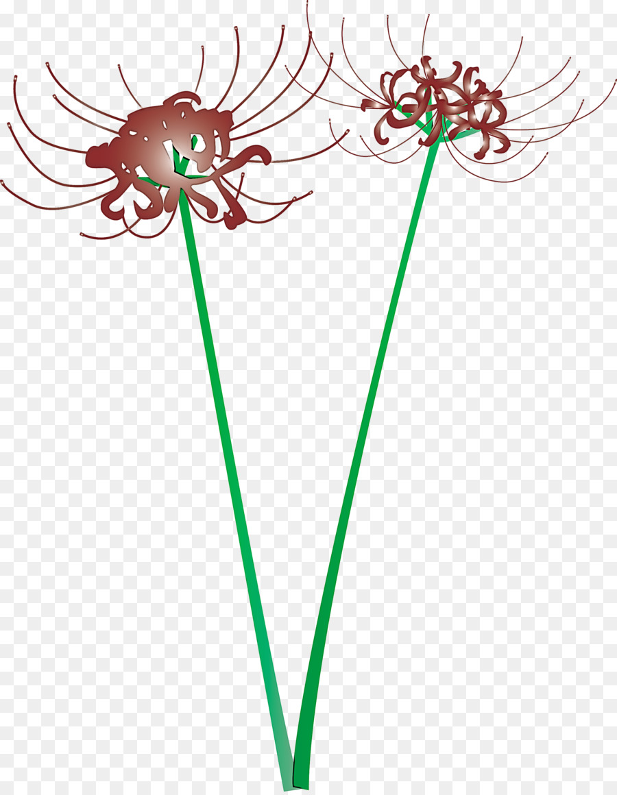 Planta，Flor PNG