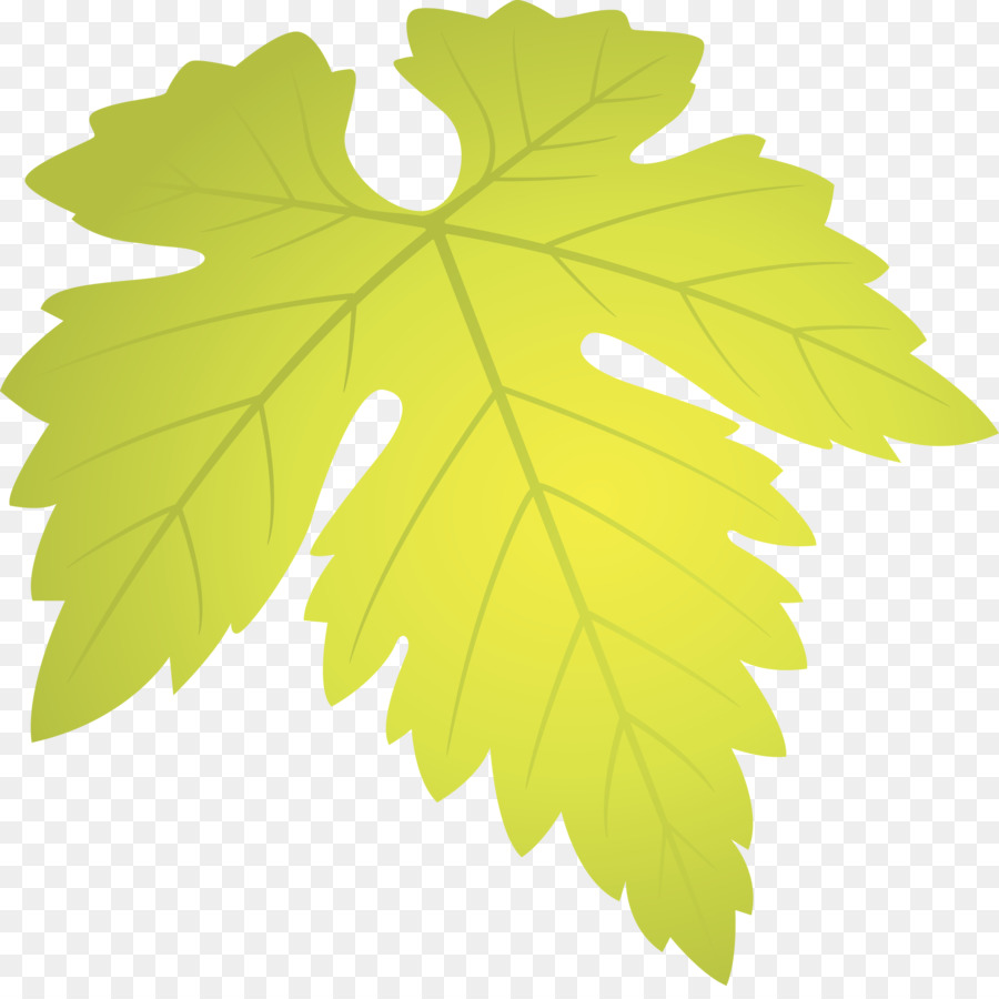 Hoja，Árbol PNG