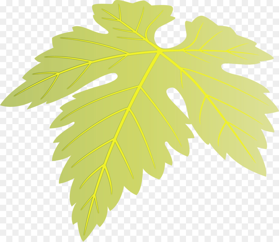 Árbol，Verde PNG