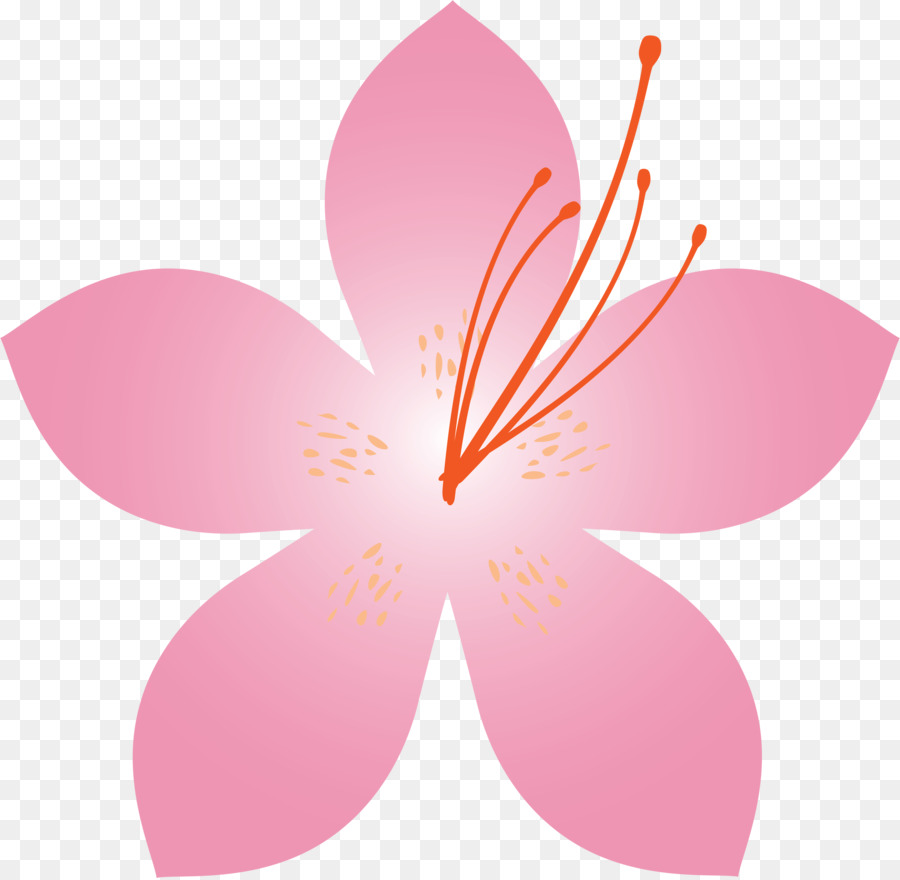 Flor，Florecer PNG