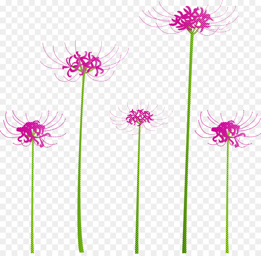 Flor，Planta PNG