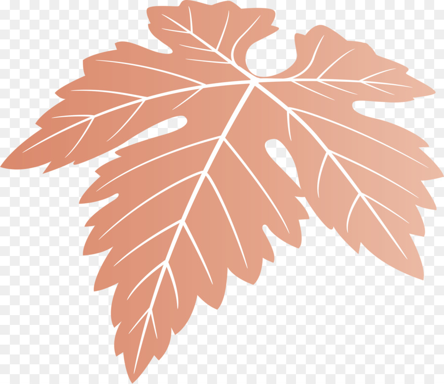 Hoja，Árbol PNG