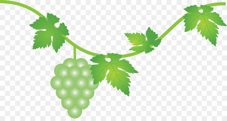 Silueta De Uvas，Uvas PNG