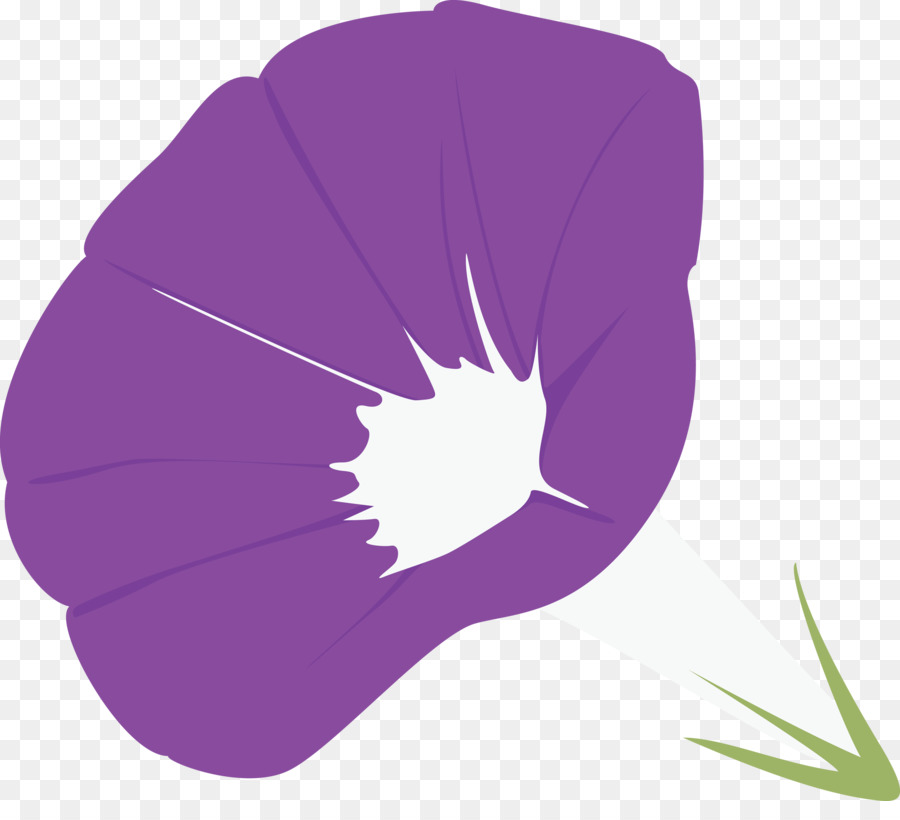 Violeta，Morado PNG