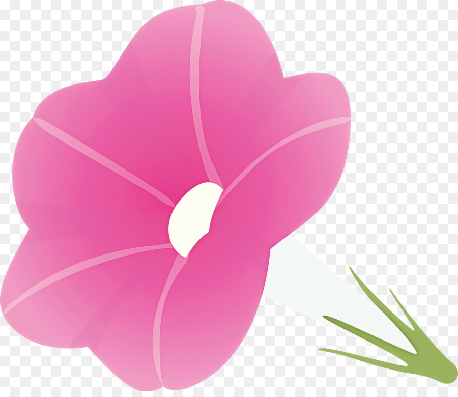 Flor，Florecer PNG