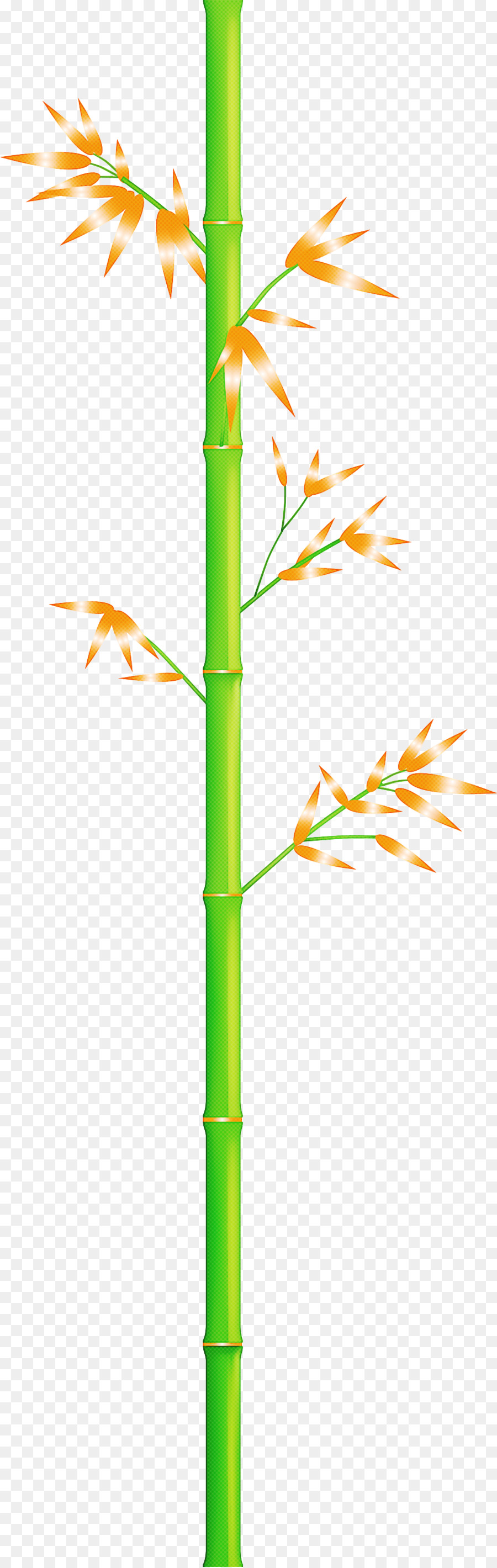 Tallo De La Planta，Amarillo PNG