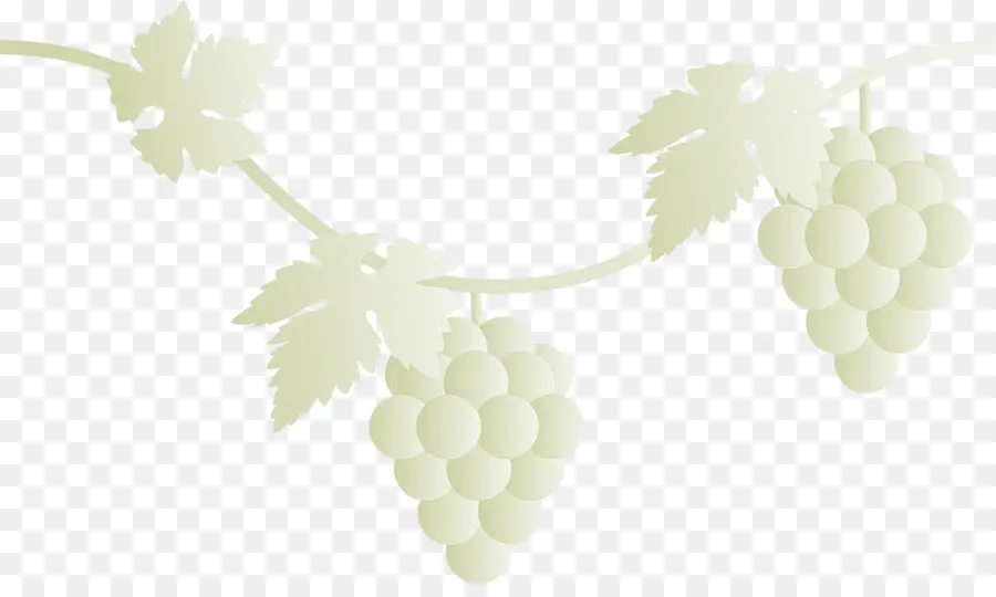 Uvas，Fruta PNG