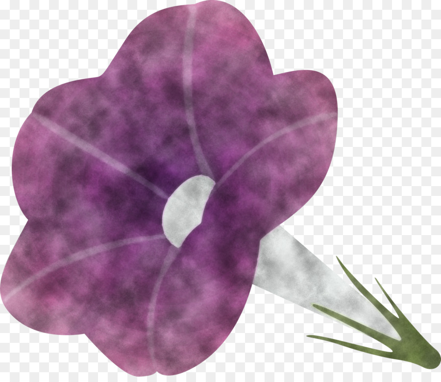 Flor Morada，Florecer PNG