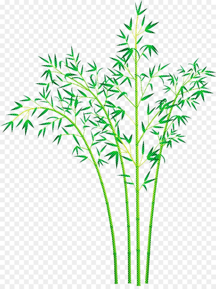 Hoja，Planta PNG