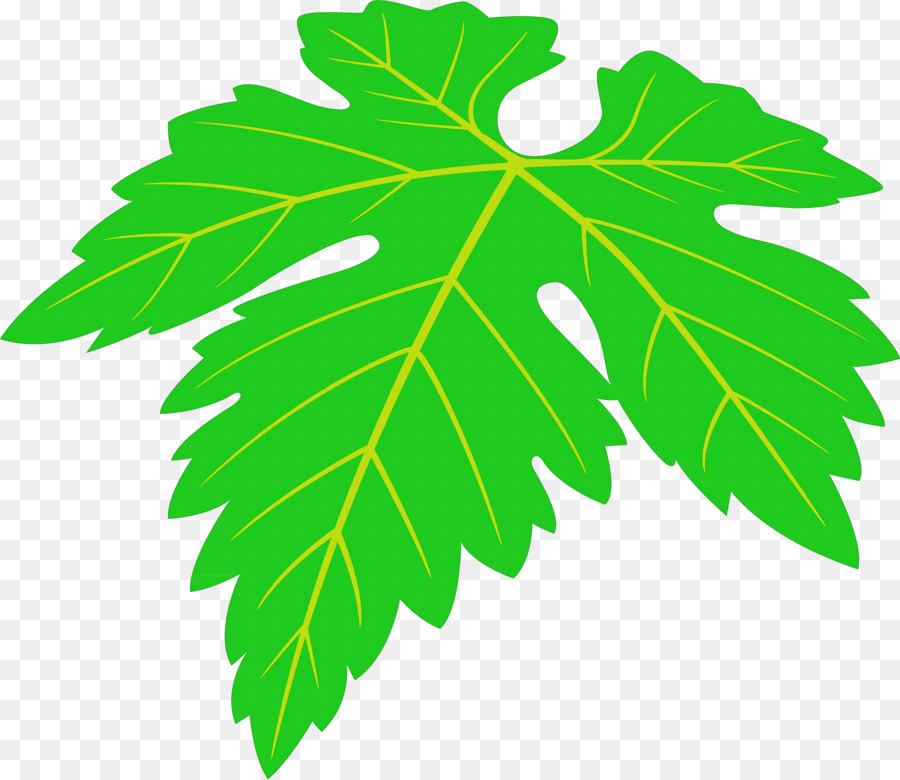 Árbol，Verde PNG