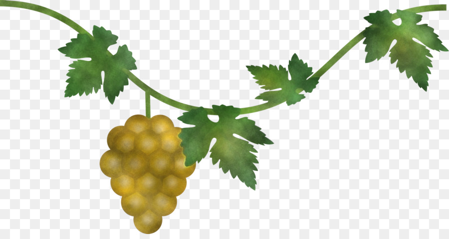 Silueta De Uvas，Uvas PNG