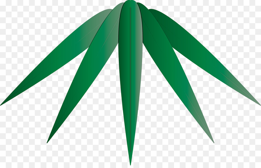 Hojas Verdes，Planta PNG