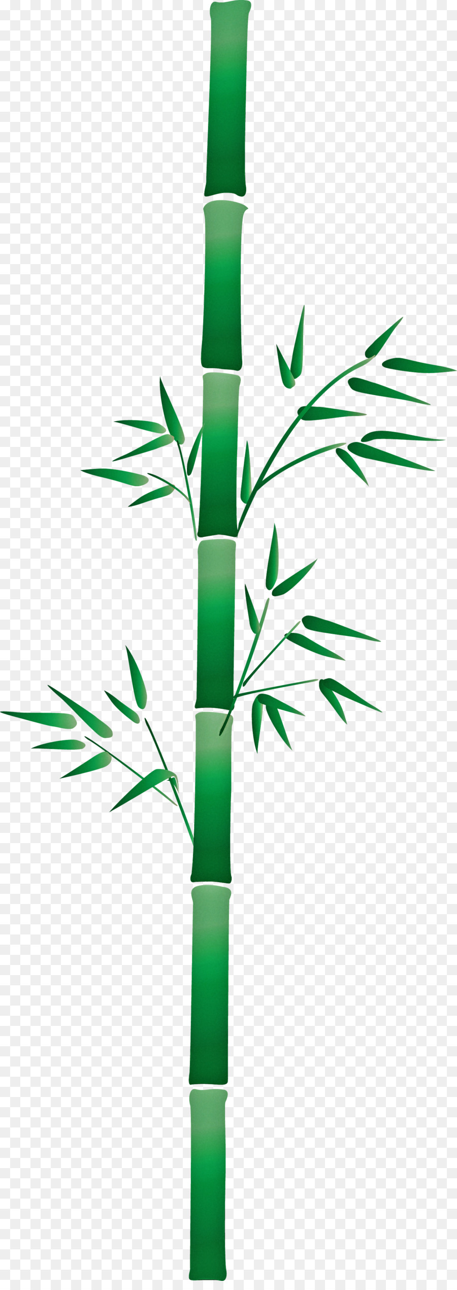 Hoja，Planta PNG