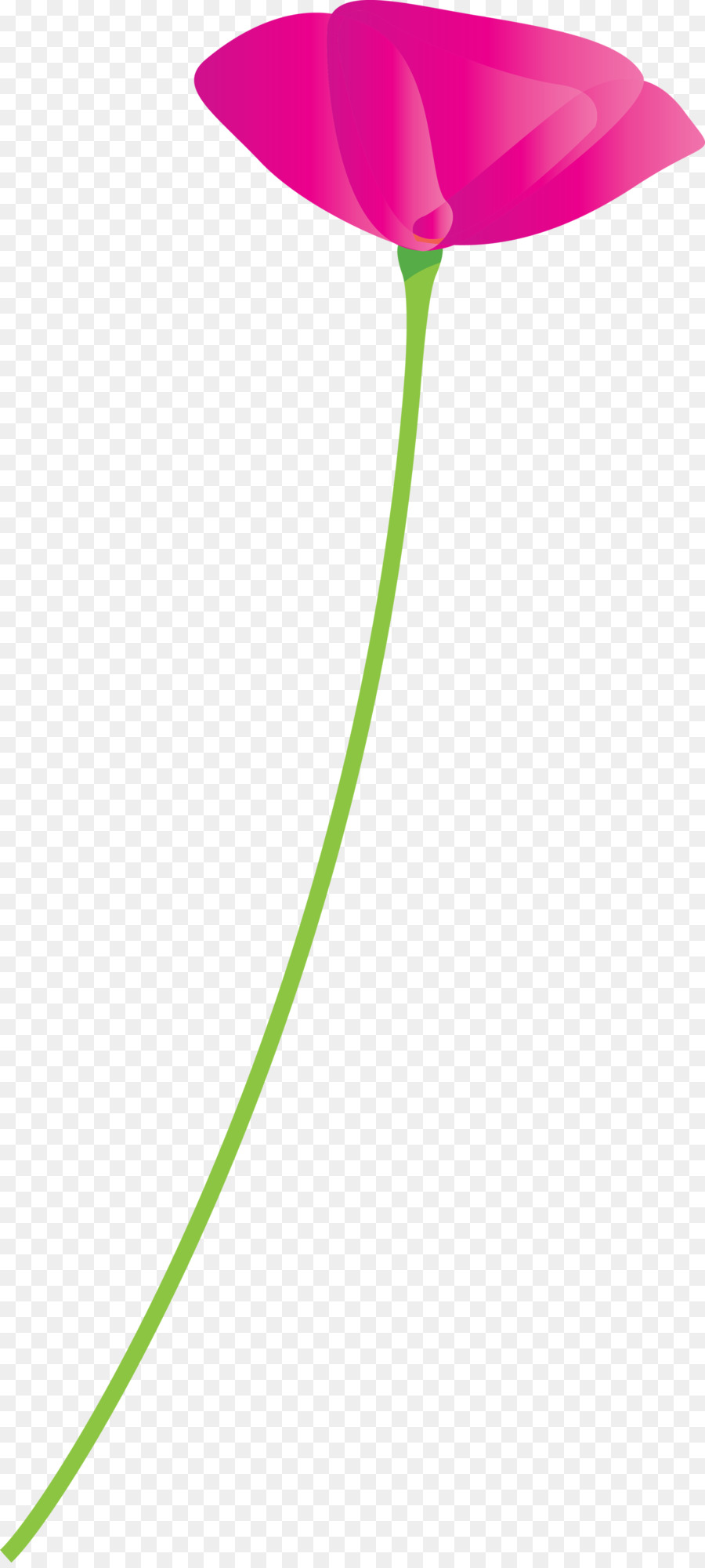 Verde，Planta PNG