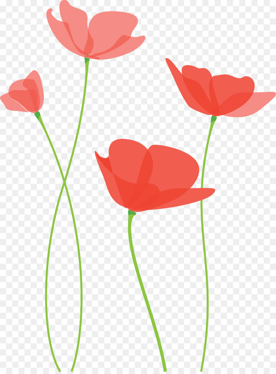 Flor，Coquelicot PNG