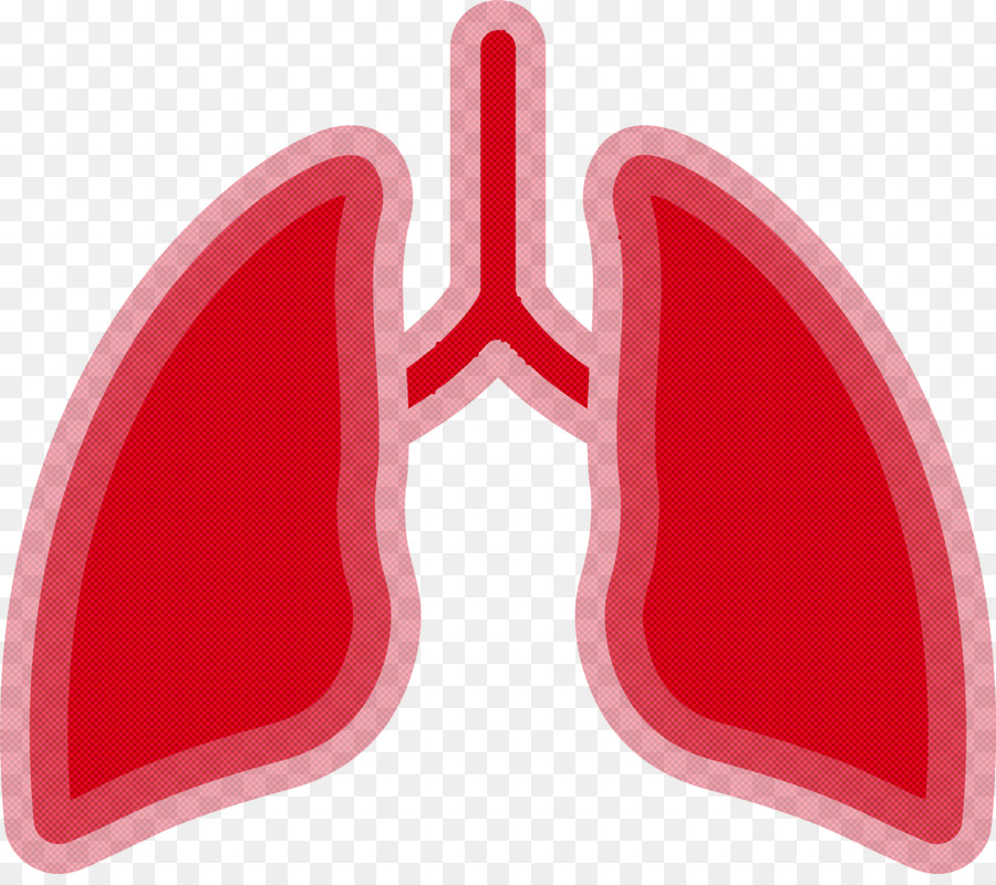 Pulmones，Respiratorio PNG