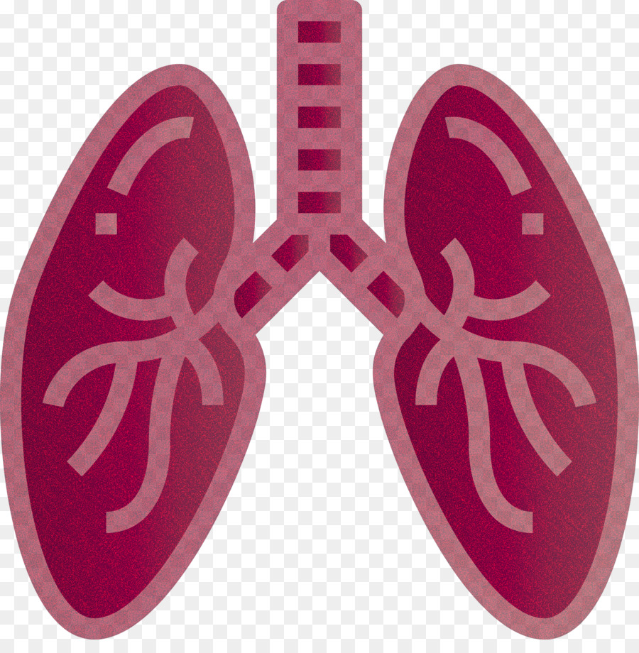 Pulmones，Respiratorio PNG