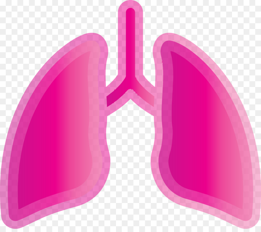 Pulmones，Respiratorio PNG