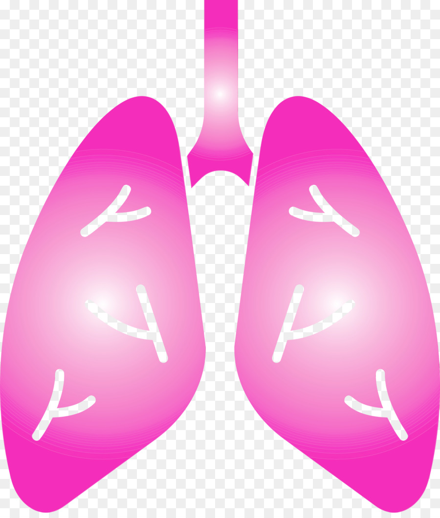 Pulmones，Respiratorio PNG