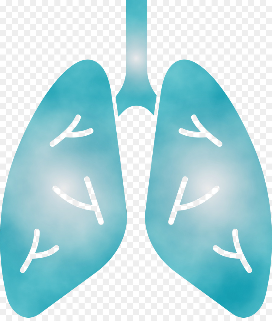 Pulmones，Respiratorio PNG