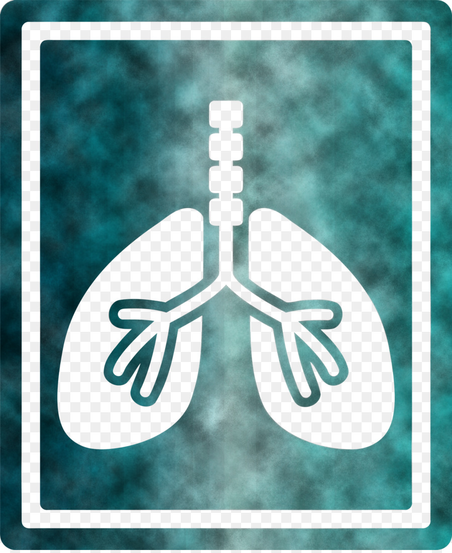 Pulmones，Respiratorio PNG