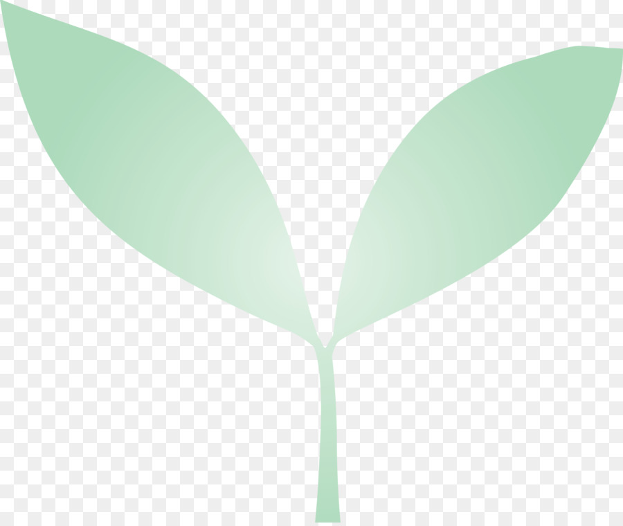 Hojas Verdes，Planta PNG