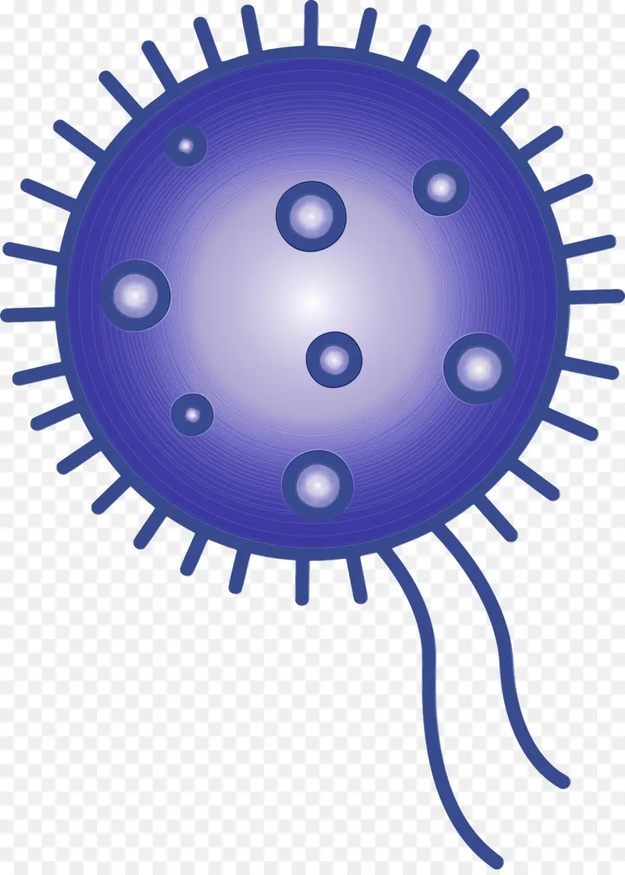 Virus Azul，Bacterias PNG