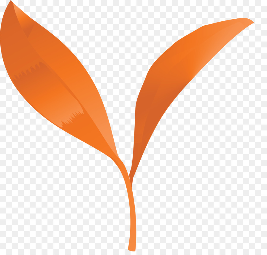 Naranja，Hoja PNG