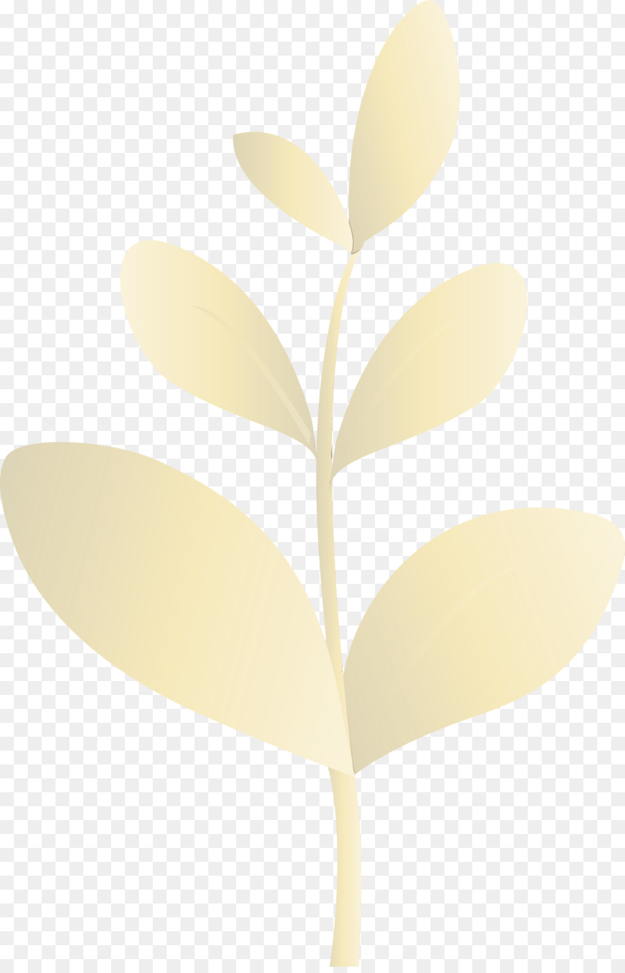 Hoja，Planta PNG