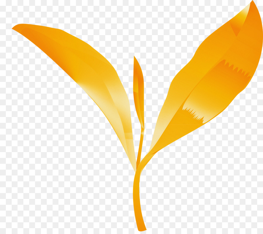 Pájaro Naranja，Vuelo PNG