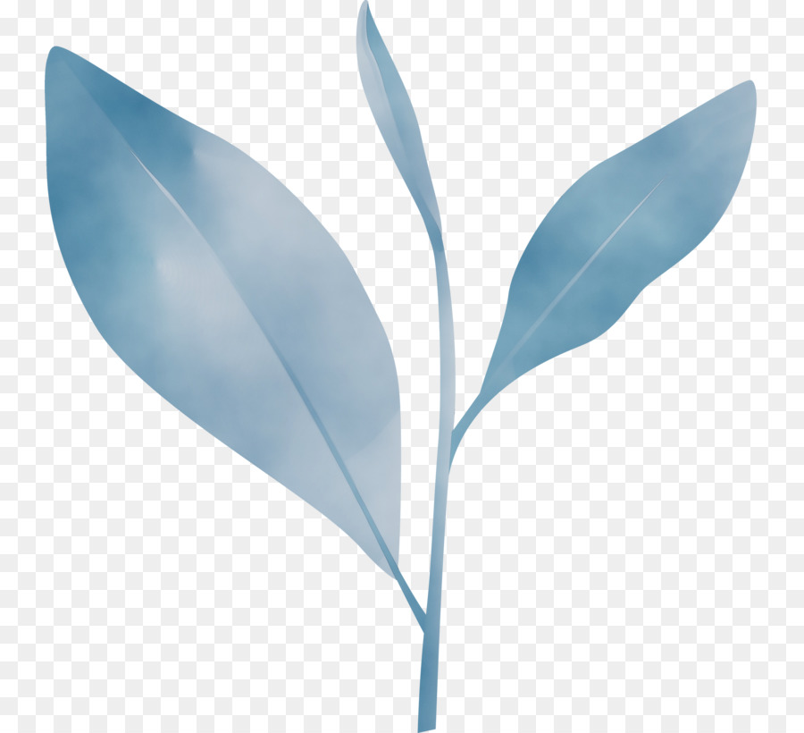 Hojas，Planta PNG