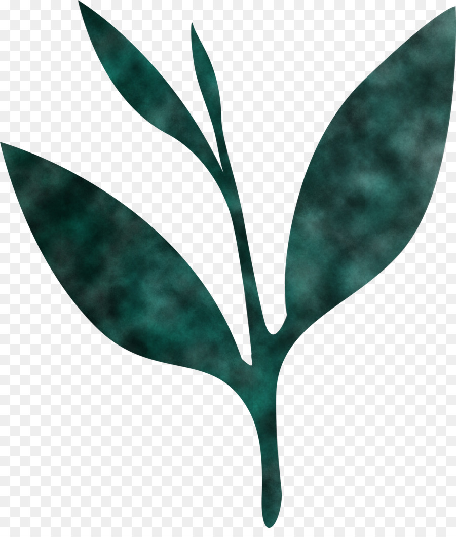 Hoja，Planta PNG