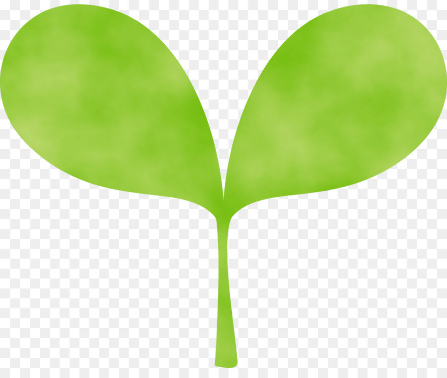 Verde，Hoja PNG