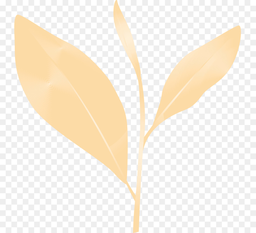 Hoja，Planta PNG