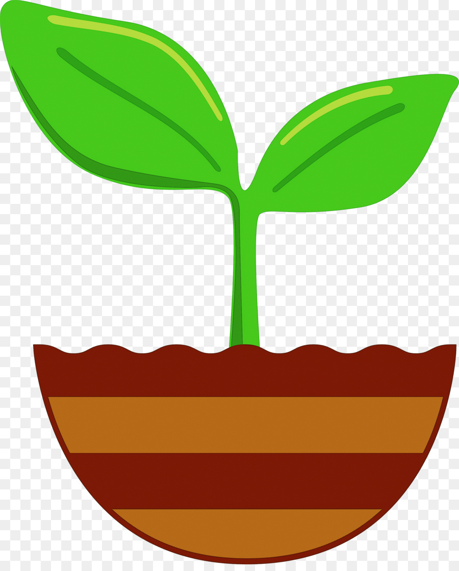 Planta，Hojas PNG