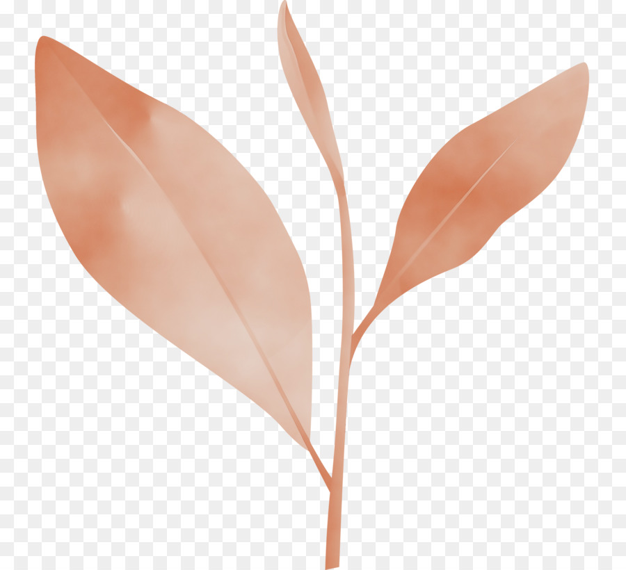 Hojas，Planta PNG